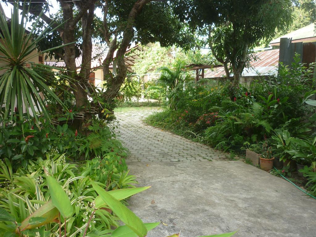โรงแรมปายลิฟอเนีย ภายนอก รูปภาพ